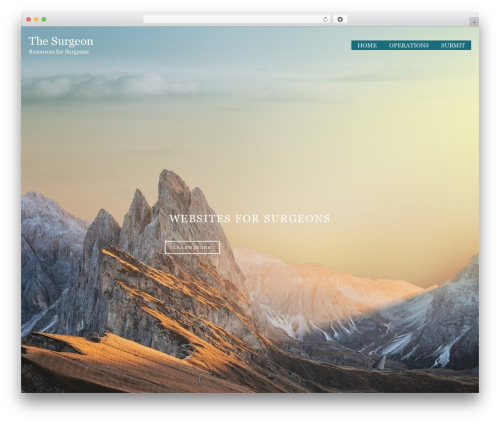 Easy Footnotes (easy-footnotes) free WordPress plugin - thesurgeon.in