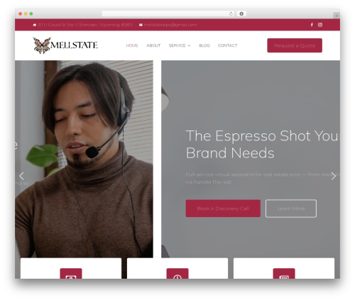 Themex ppro elementor WordPress plugin - mellstate.com