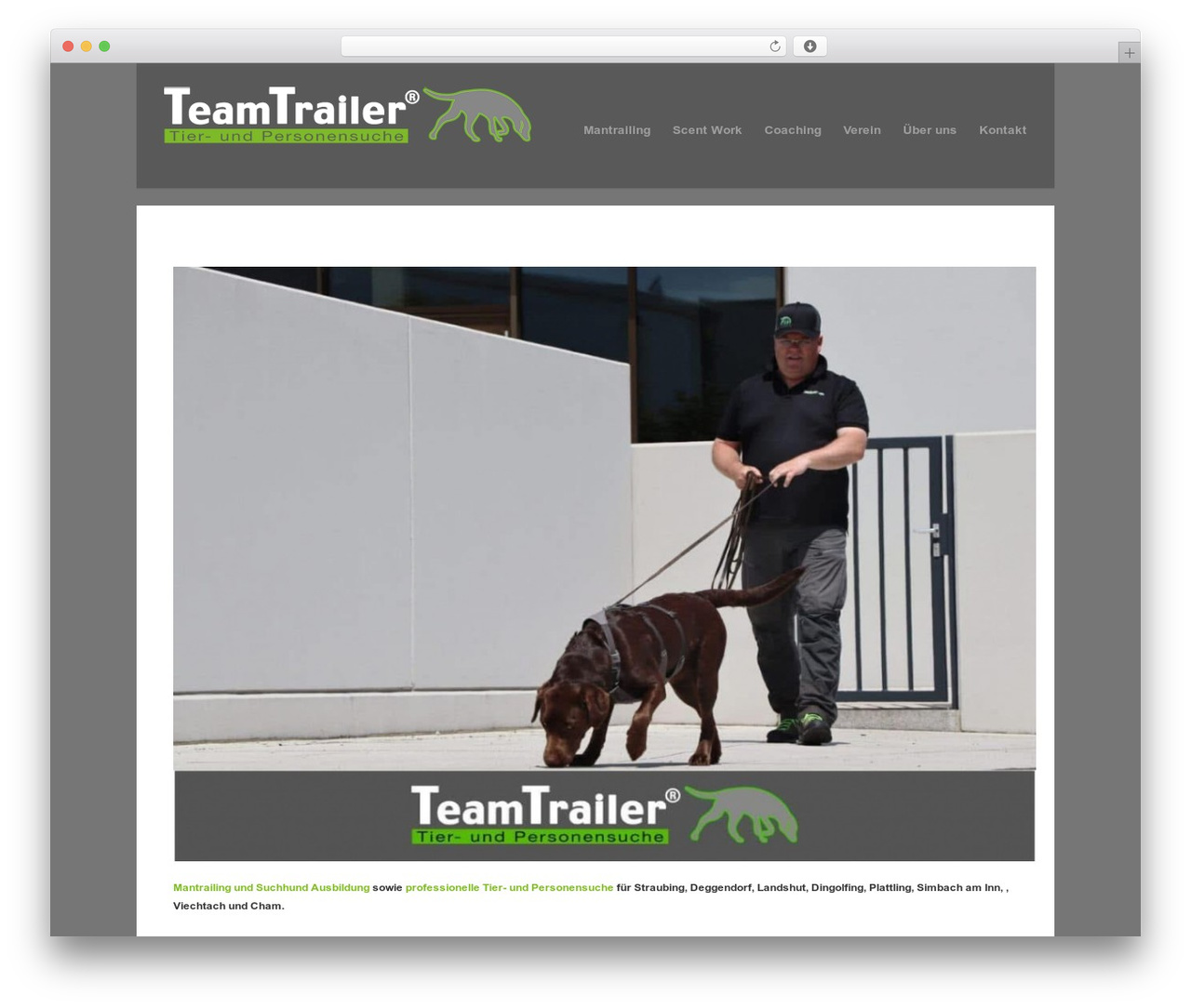 WordPress website theme Uber - teamtrailer.de