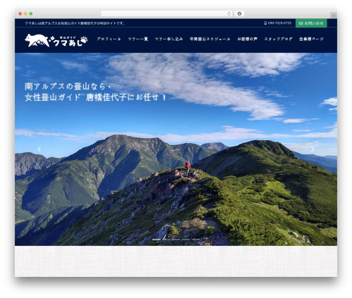 Lightning skin jpnstyle WordPress plugin - kumaashi.com