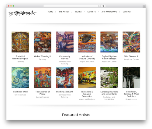 Massive Dynamic theme WordPress - bertmonterona.com