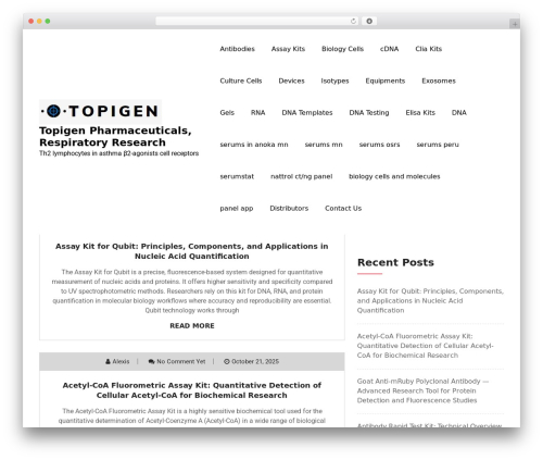 TechUp theme WordPress - topigen.com
