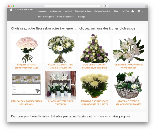 6temflex best WordPress theme - defleurenfleur.com