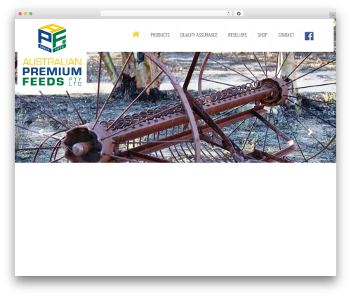 APF Custom Theme WordPress theme - australianpremiumfeeds.com