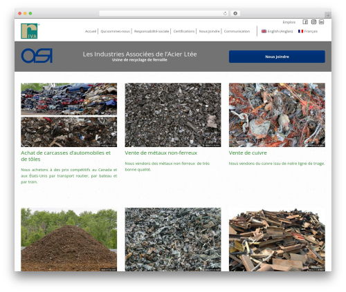 B.I.G WordPress theme - asiriva.com