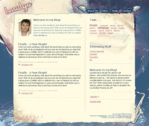Best WordPress theme Borulya.com