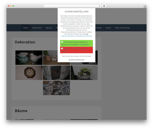 Bhari top WordPress theme - dannyfans.de