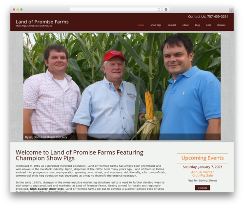 DesignPlus Advanced Multi-Purpose WordPress Theme WordPress theme - landofpromisefarms.com