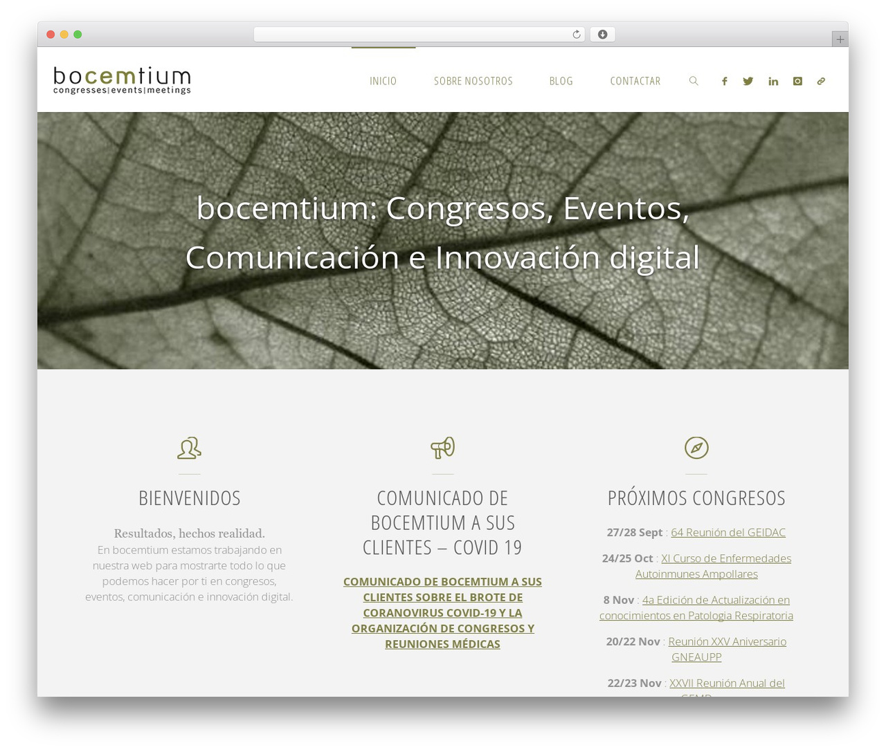 Fluida free WordPress theme - bocemtium.com Fluida free WordPress theme - bocemtium.com