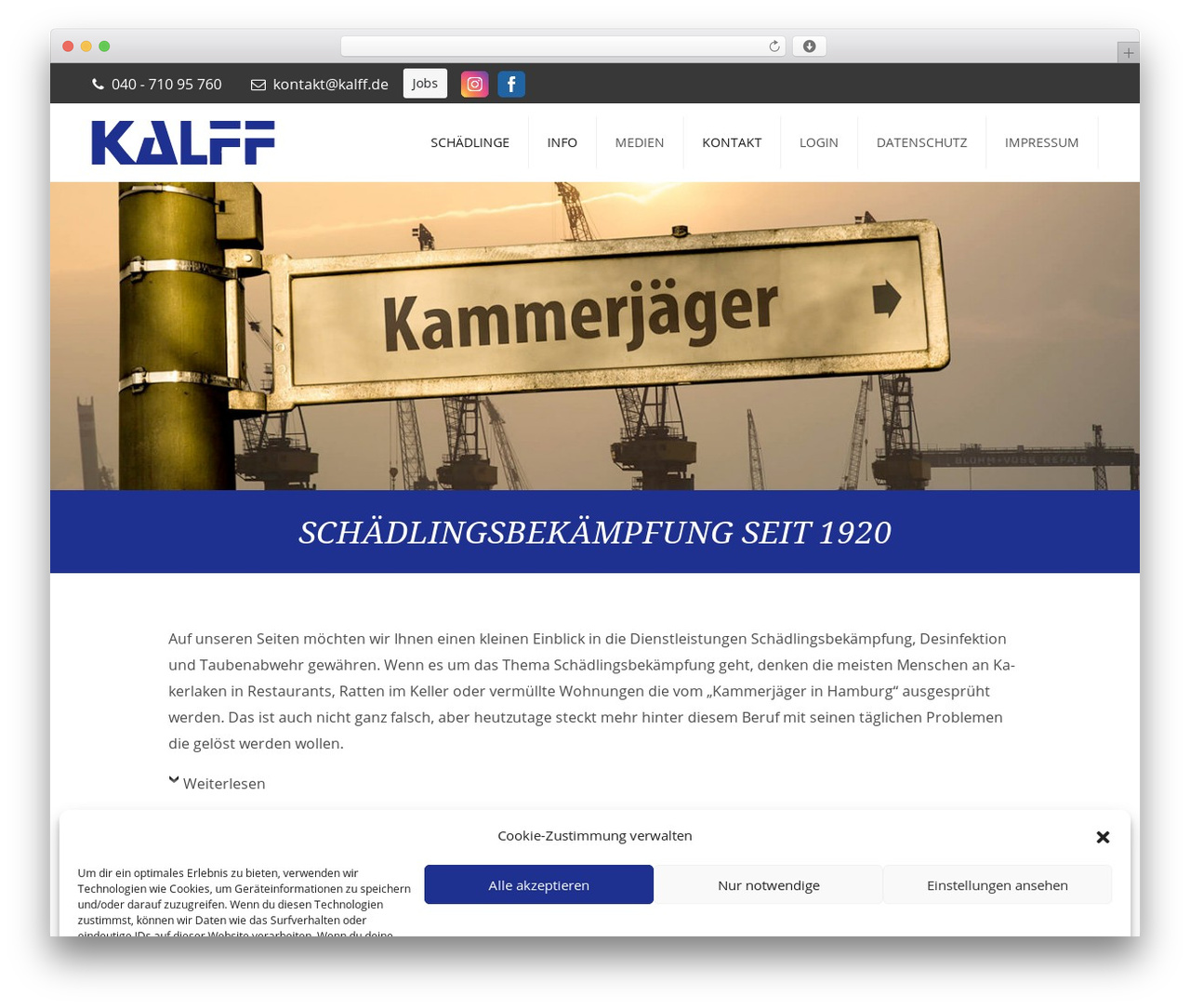 Gutenberg Starter Theme WordPress theme - kalff.de