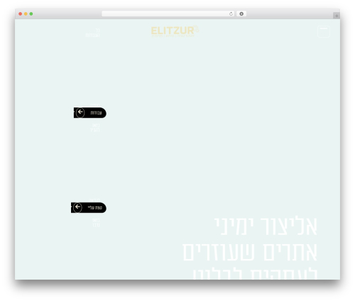 Emcp tools WordPress plugin - elitz.co.il