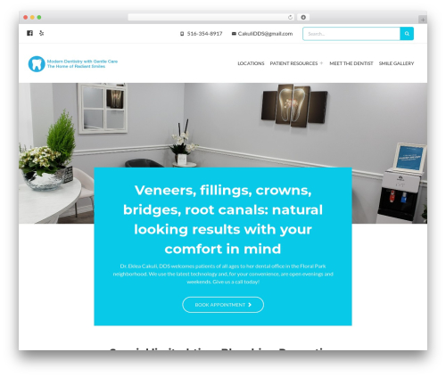 Regina WordPress theme - nyedentalpc.com