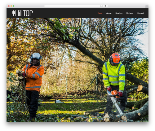 Screenr plus WordPress plugin - hilltoptreeservices.co.uk