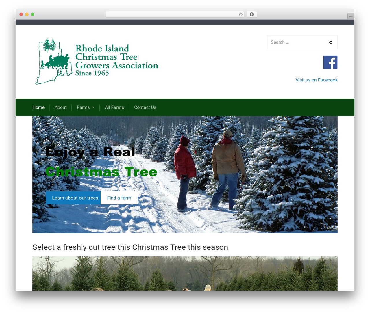 StartRight theme WordPress - richristmastrees.com