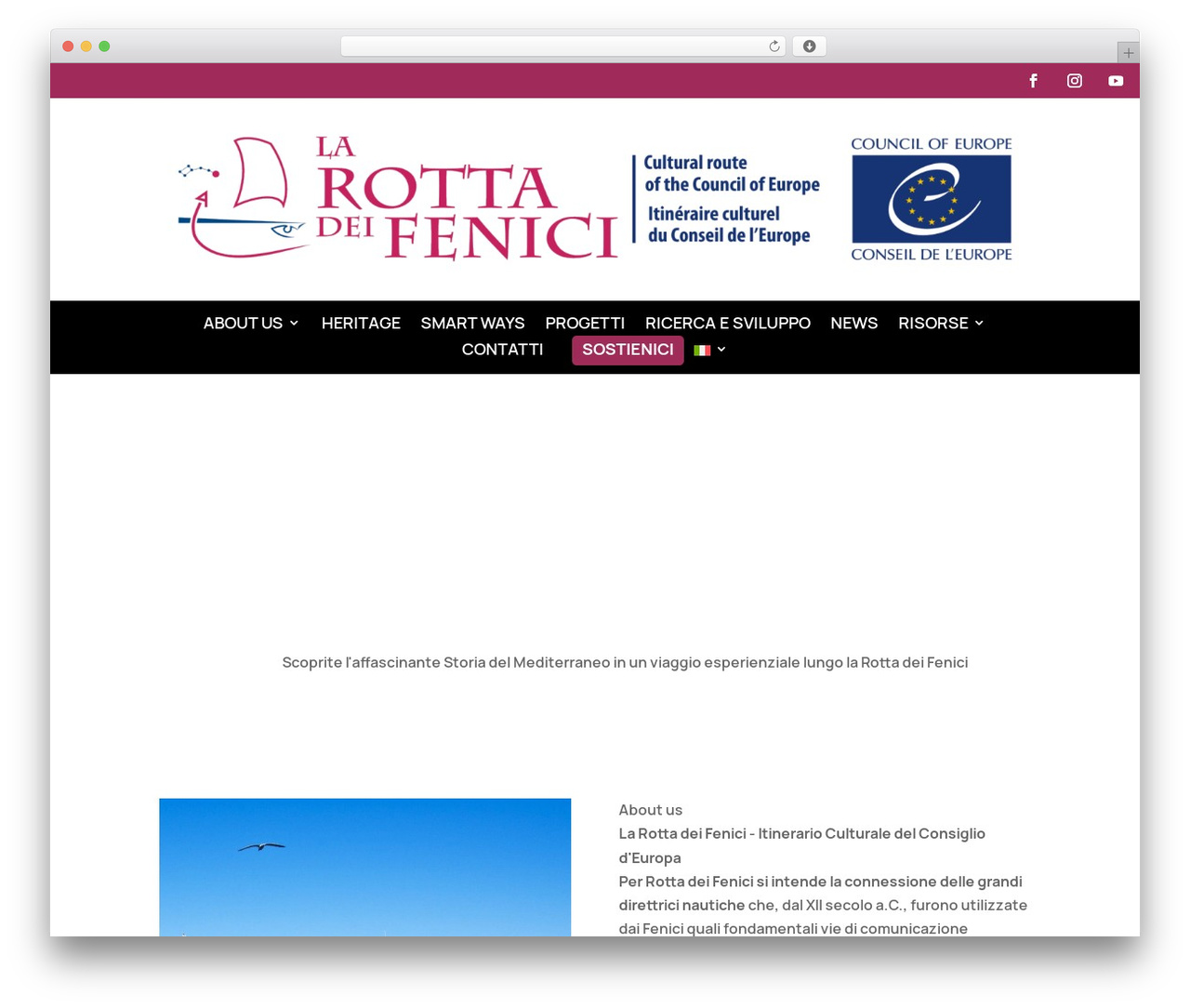 WordPress theme Divi - fenici.net