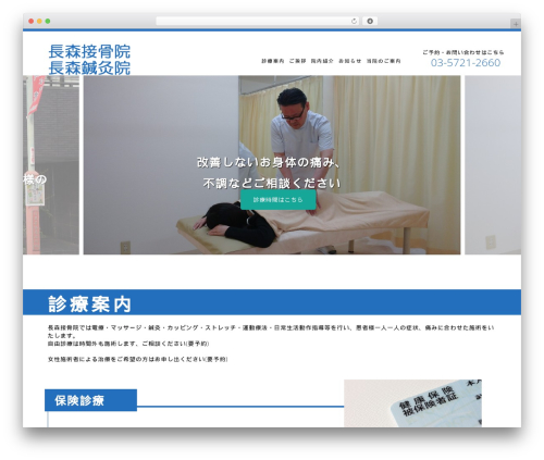 WordPress theme Astrid - nagamori-sekkotsuin.com