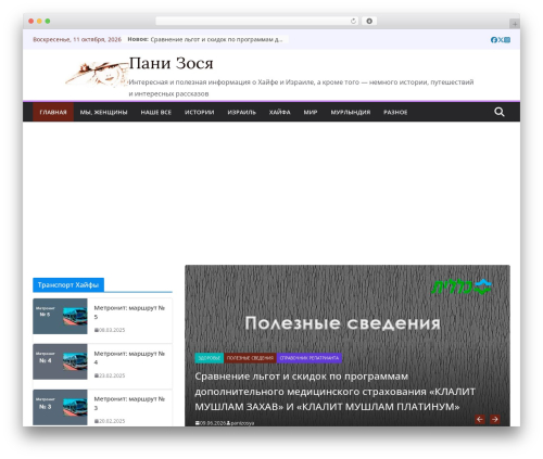 Autoglot – Automatic WordPress Translation (autoglot) free WordPress plugin - panizosya.ru