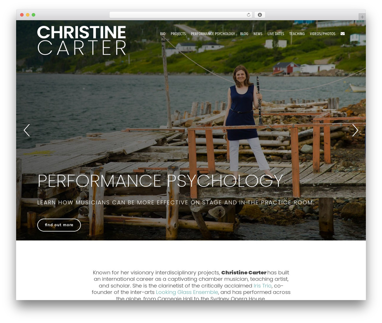 WordPress theme Fenix - christine-carter.com
