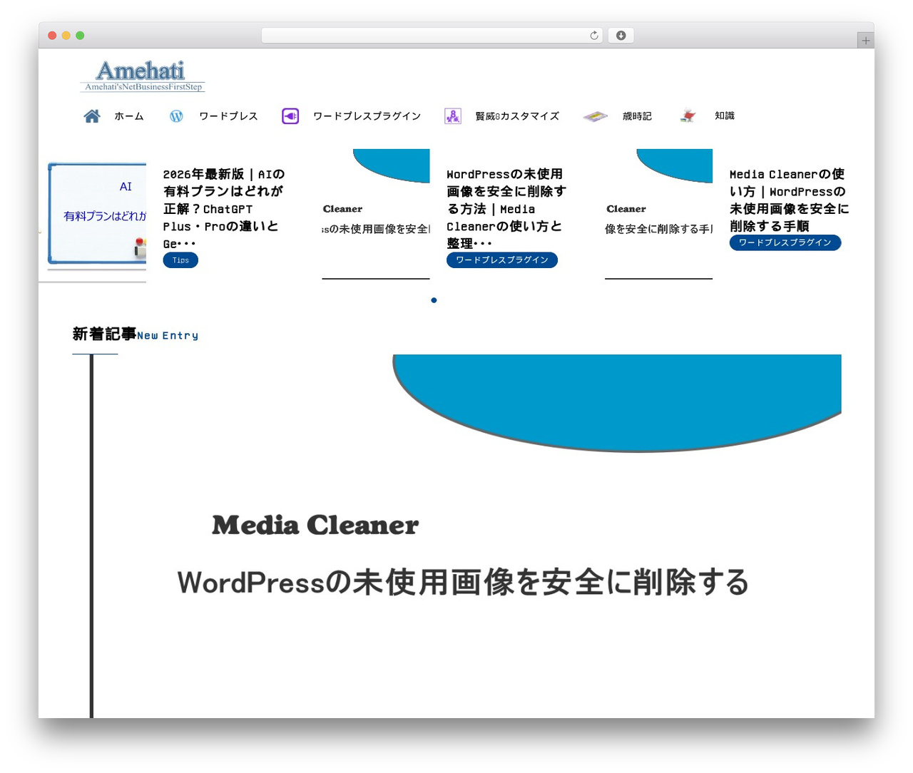 WP theme SYN Ownd - amehati.net