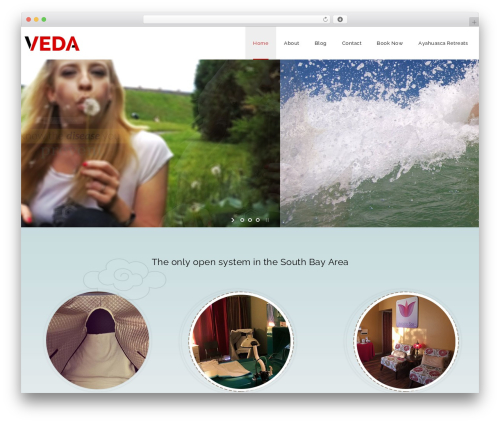 Designthemes yoga addon WordPress plugin - therootchakra.com