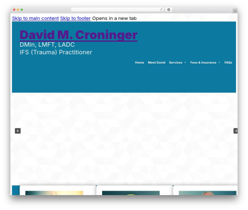Bricks WordPress theme - davidcroninger.com