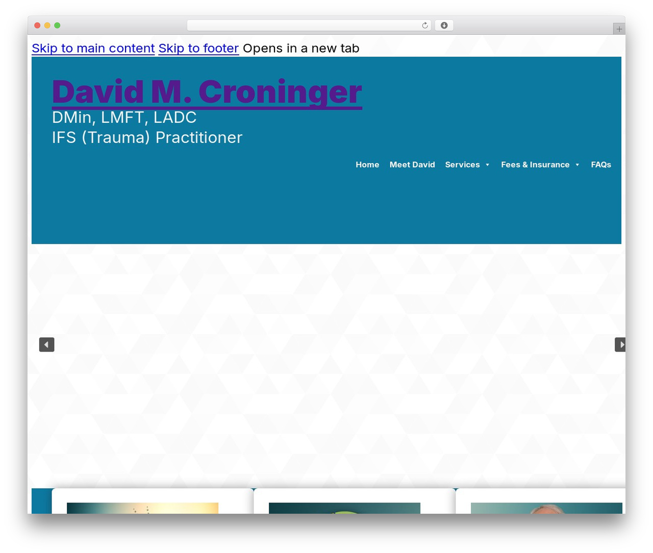 Bricks WordPress theme - davidcroninger.com
