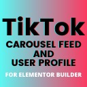 Feed for TikTok free WordPress plugin