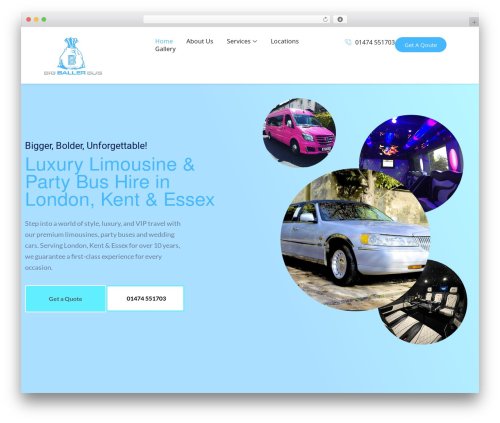 Better business reviews WordPress plugin - bigballerbus.com