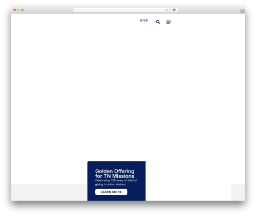 Hello Elementor WordPress theme - tnbaptist.org