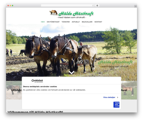 Theme WordPress CMS cmsvrx system - haldehastkraft.se