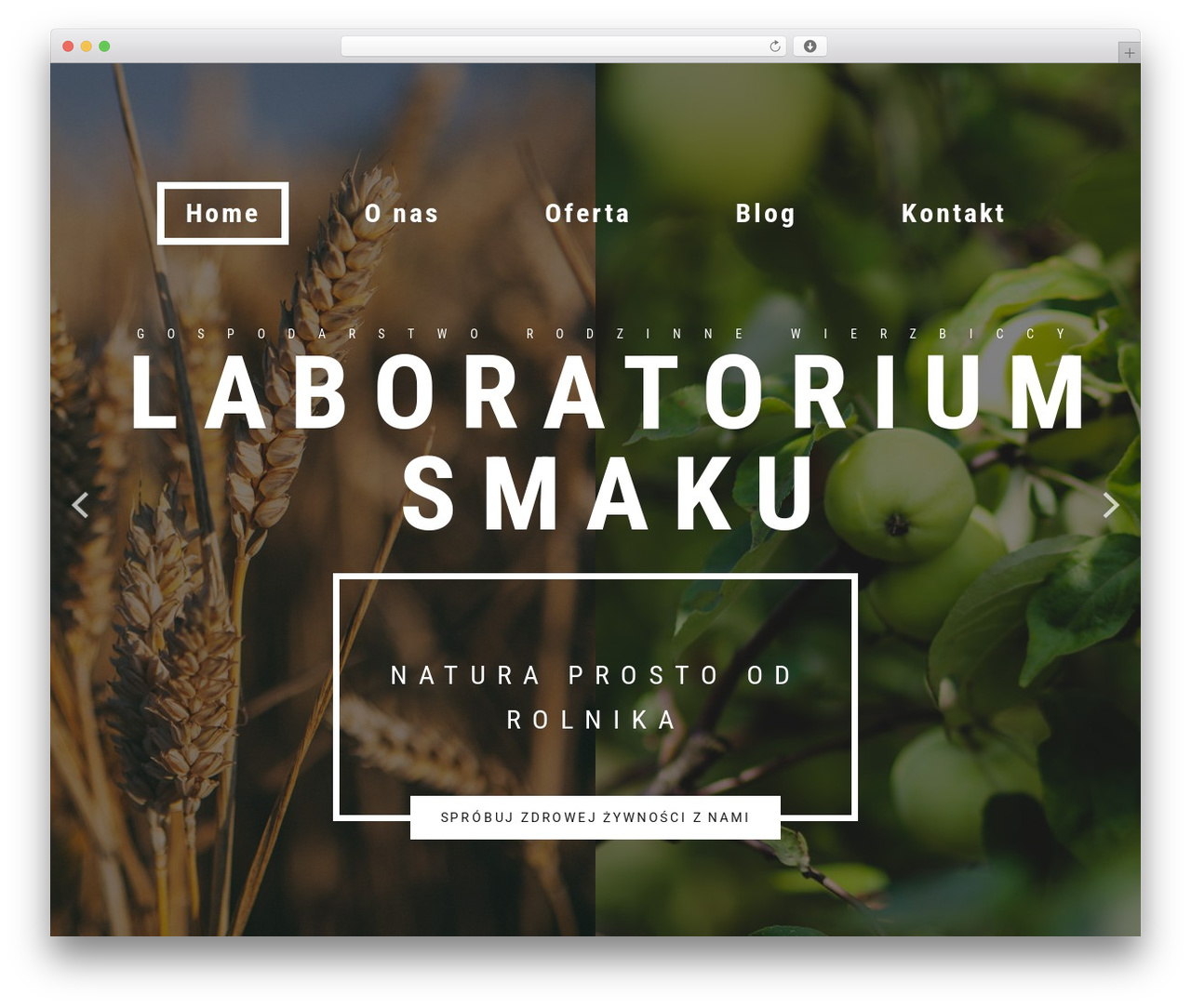WordPress theme Cherry Framework - laboratoriumsmaku.com WordPress theme Cherry Framework - laboratoriumsmaku.com