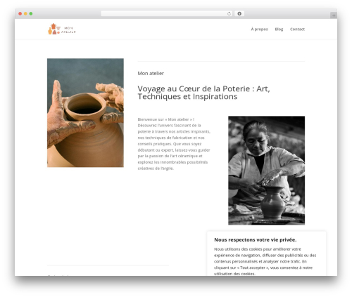 Divi contact form zero spam WordPress plugin - mon-atelier.com