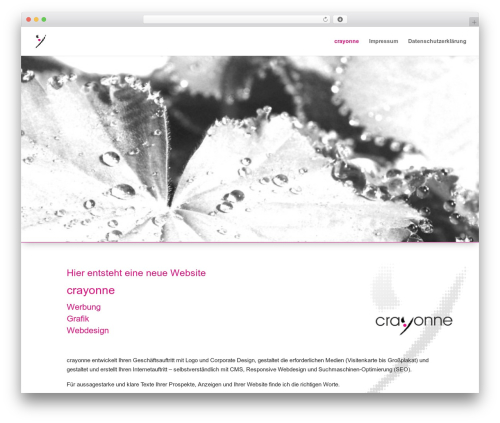 Divi WordPress theme - crayonne.de