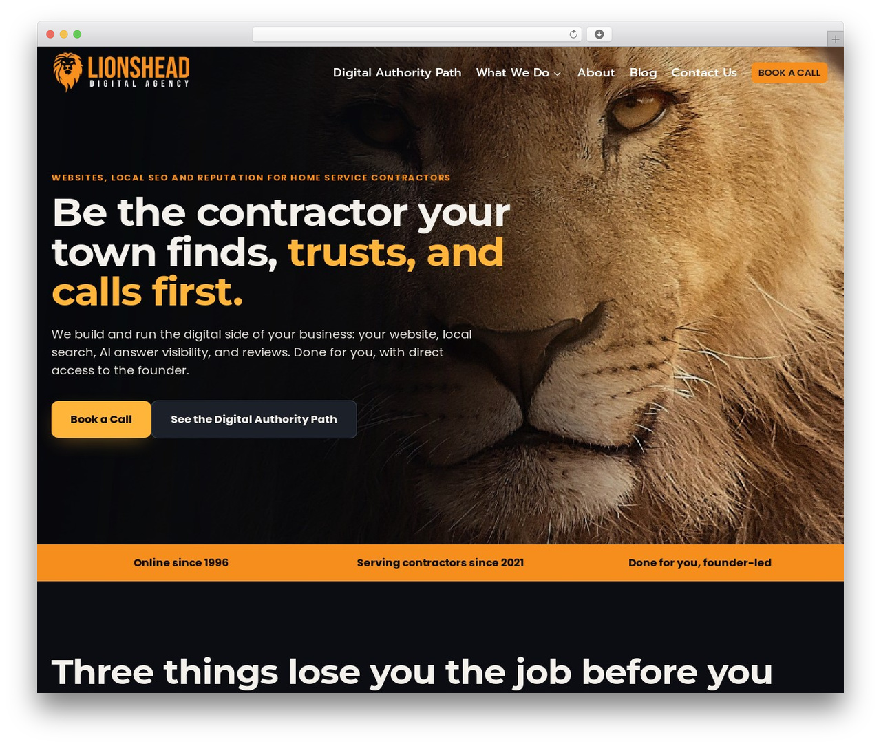 Kadence theme WordPress - lionsheadagency.com