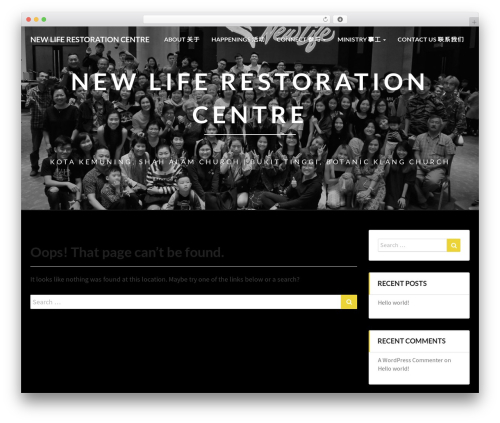 Lighthouse theme WordPress - newlifeshahalam.com