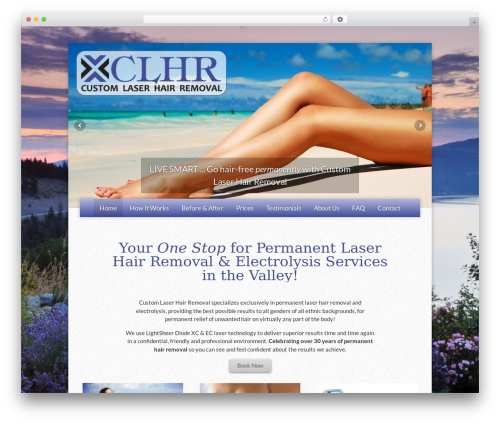 WordPress theme Chimera Framework - customlaserhairremoval.com
