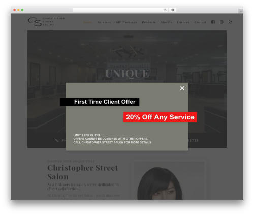 WordPress theme Divi - christopherstreetsalon.com