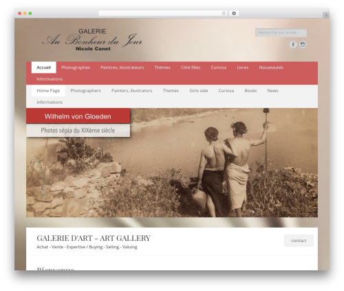 Portfolio Gallery (unitegallery) free WordPress plugin - aubonheurdujour.net Portfolio Gallery (unitegallery) free WordPress plugin - aubonheurdujour.net