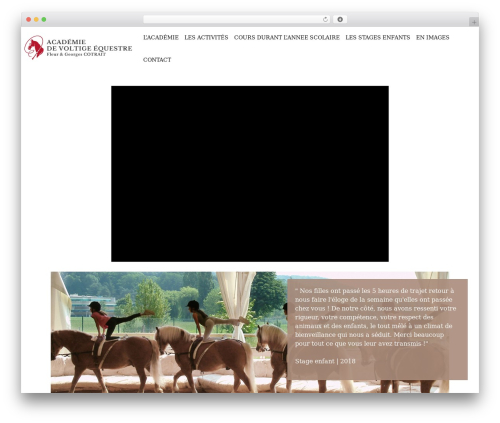Executive top WordPress theme - academiedevoltige.com
