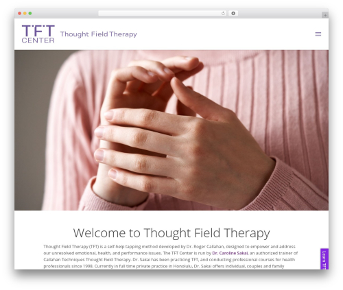 Bne flyout WordPress plugin - tftcenter.com