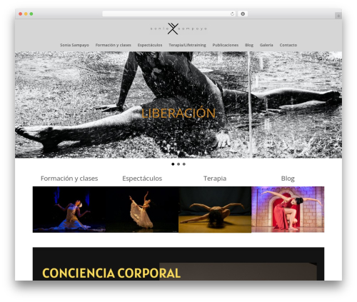 WordPress theme Beaver Builder Theme - soniasampayo.com