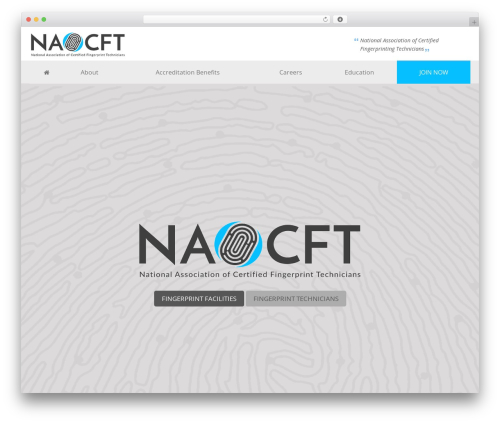 WordPress theme Candidate - naocft.com
