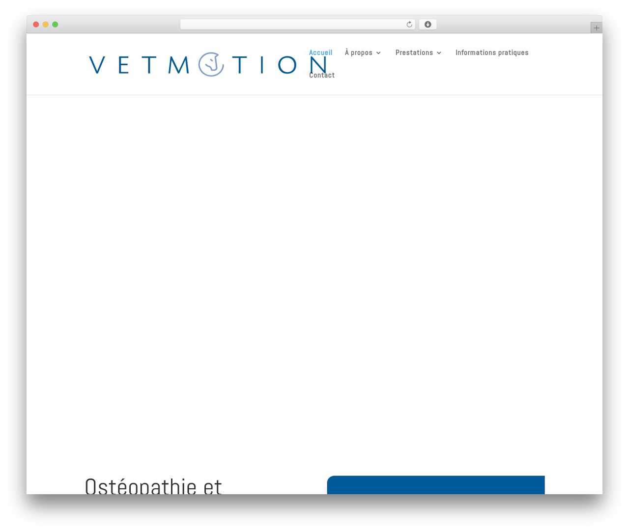 WordPress theme Divi - vetmotion.ch
