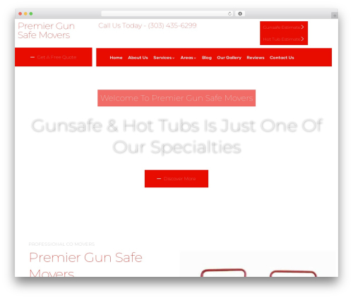Seo metrics main WordPress plugin - premiergunsafemovers.com