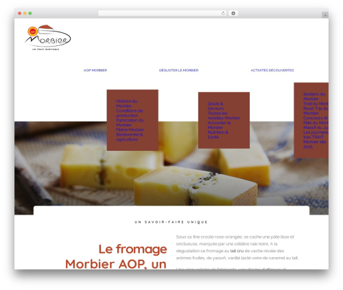 Uncode privacy WordPress plugin - fromage-morbier.com