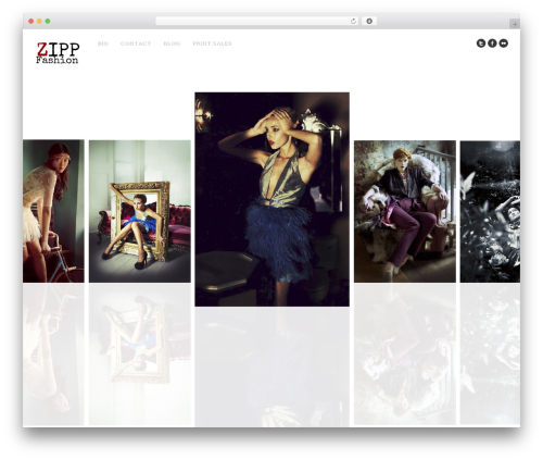 Socialize (socialize) free WordPress plugin - zippfashion.com