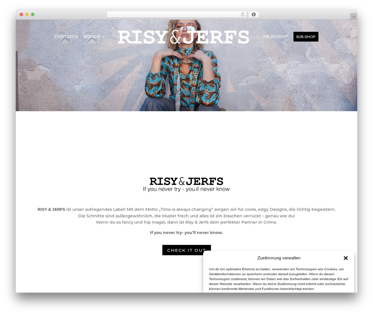 Divi Child theme WordPress - risy-jerfs.com