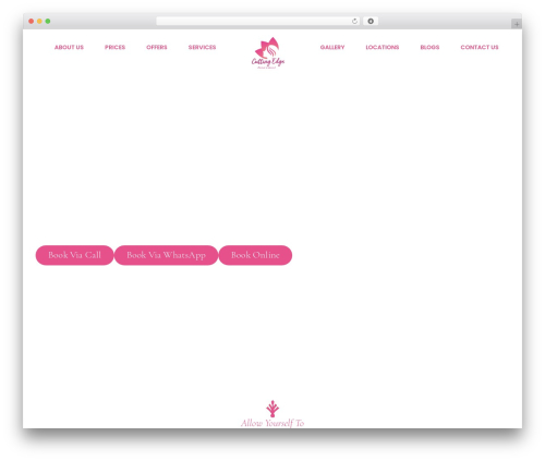 Feeds for tiktok WordPress plugin - cuttingedgeladies.com