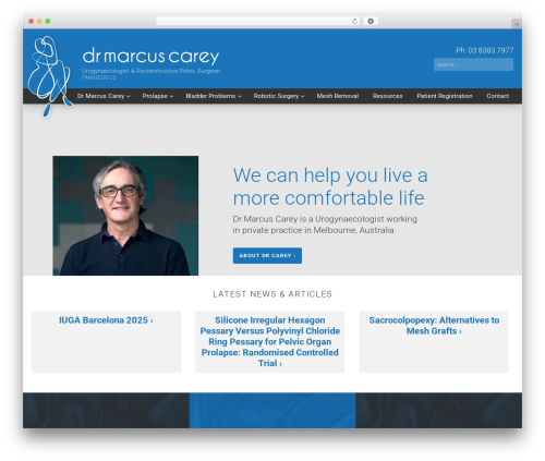 Squigloo Custom Theme WordPress theme - drmarcuscarey.com
