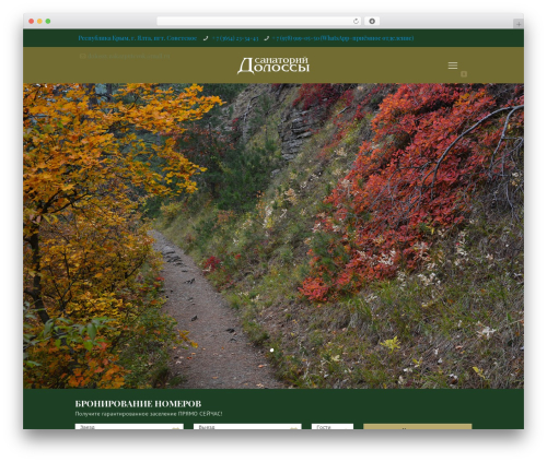 WordPress theme Doloss - xn----7sbarsgqkkebrimaf8n.xn--p1ai